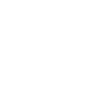 Icons8 Whatsapp Logo 100